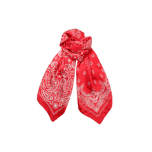 Indlæs billede til gallerivisning BLACK COLOUR Bcpaisley Mini Scarf Red
