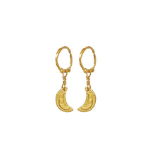 Indlæs billede til gallerivisning MAANESTEN Odessa Earrings (guld/sølv)
