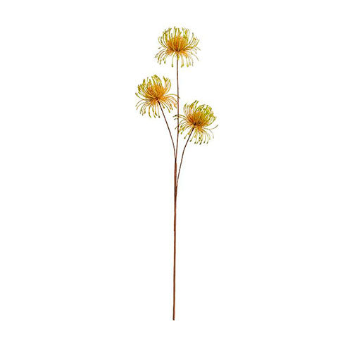 BUNGALOW Exotic Flower Limonade
